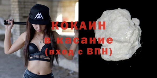 твердый Алексеевка