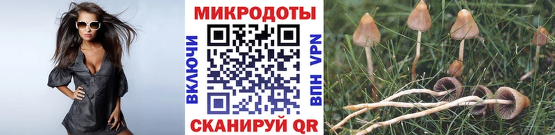 Галлюциногенные грибы мицелий  мориарти какой сайт  Ветлуга 